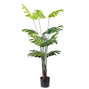 Τεχνητό δέντρο Monstera 155cm ύψος.