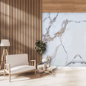 Pvc Wall Panel Calacatta Gold 104